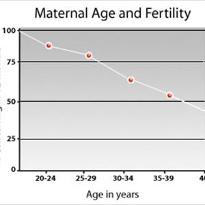 Charting Ovulation Ovulate - Factors That Affect Male Fertility