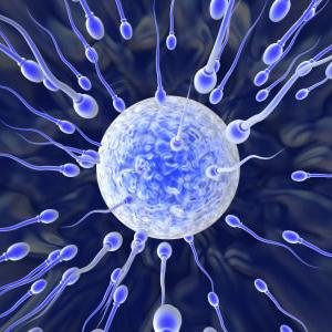 Best Date To Try And Conceive - Infertility Treatments - 3 Fast Ways To Increase Your Fertility Levels!