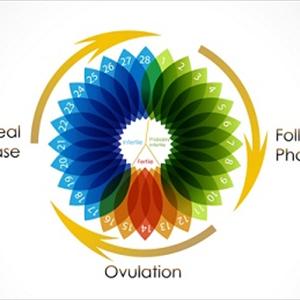 Over The Counter Fertility Medications - Sperm Motility,Sperm Morphology And Sperm Count. 