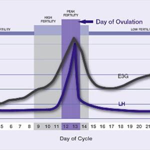 Most Fertile Calendar - Knowing When You Need Infertility Counseling